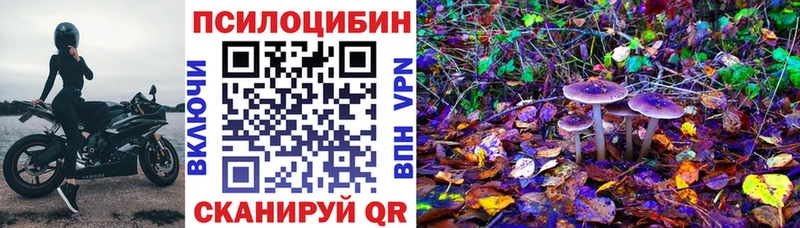 Псилоцибиновые грибы мухоморы  блэк спрут зеркало  Сыктывкар  продажа наркотиков 